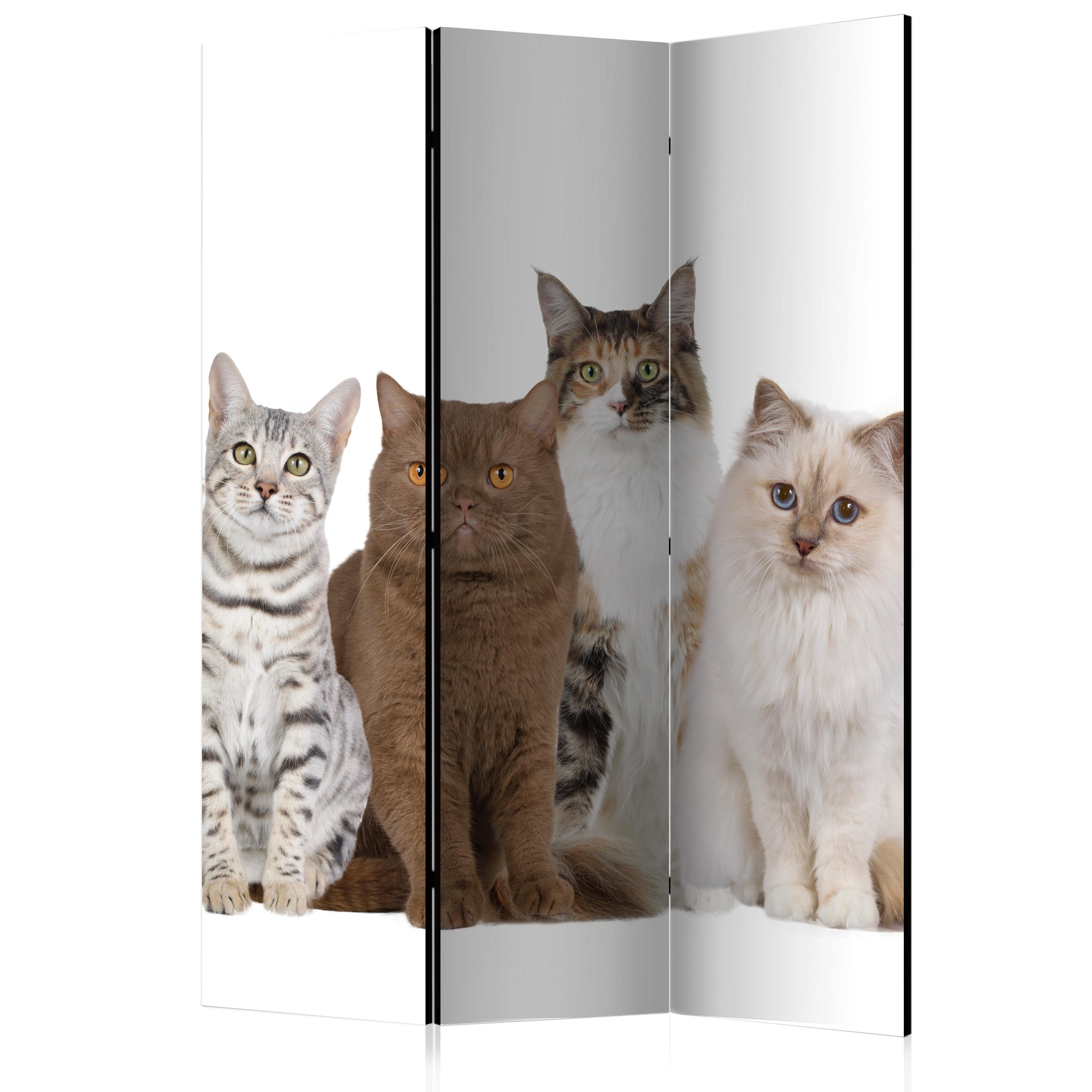 Rumsavdelare Arkiio Sweet Cats 135x172 cm