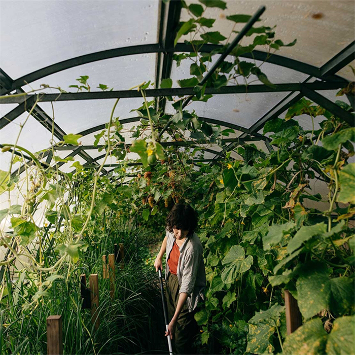 Lövräfsa Fiskars X-Series XXL