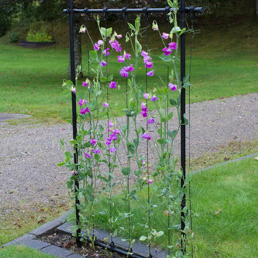 Ramspaljé Flexigarden