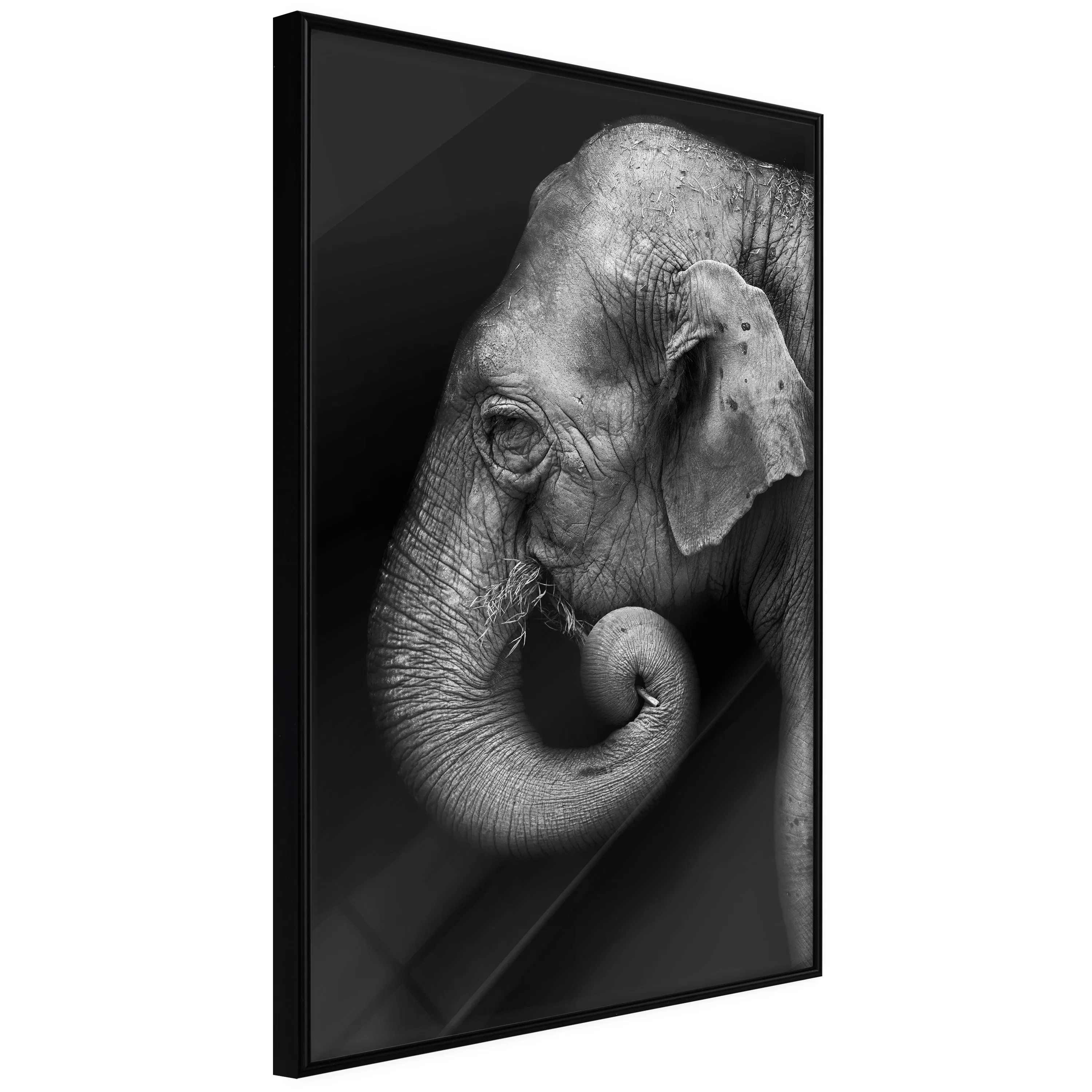 Poster Artgeist Affisch Portrait of Elephant