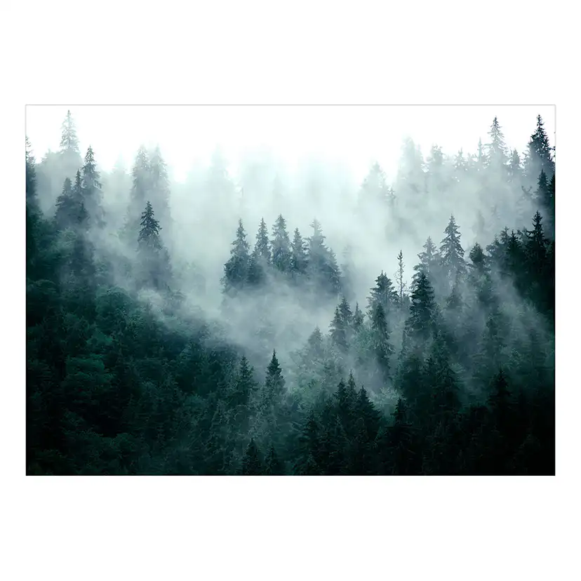 Fototapet Arkiio Mountain Forest (Dark Green)