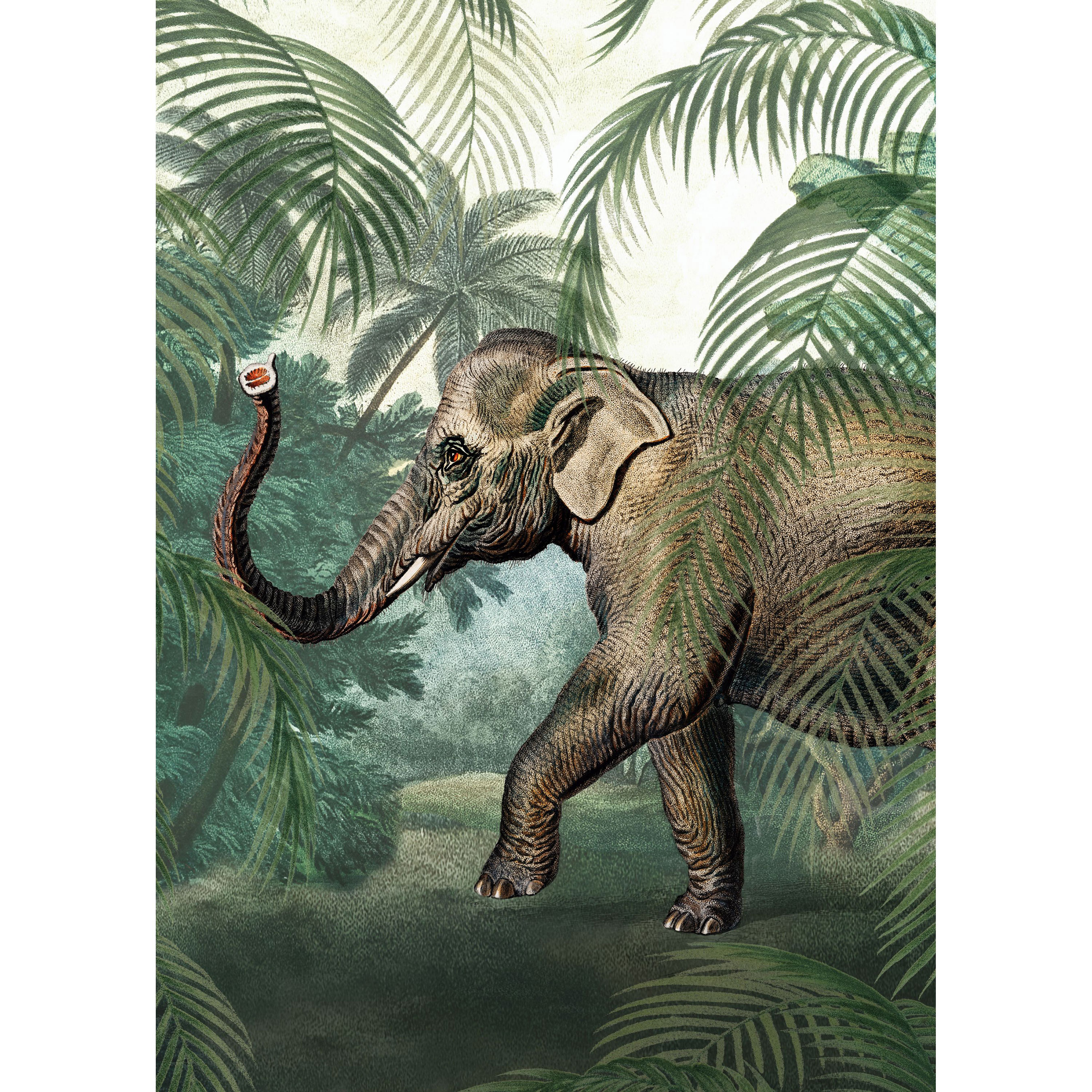Fototapet Art for the Home Elefant