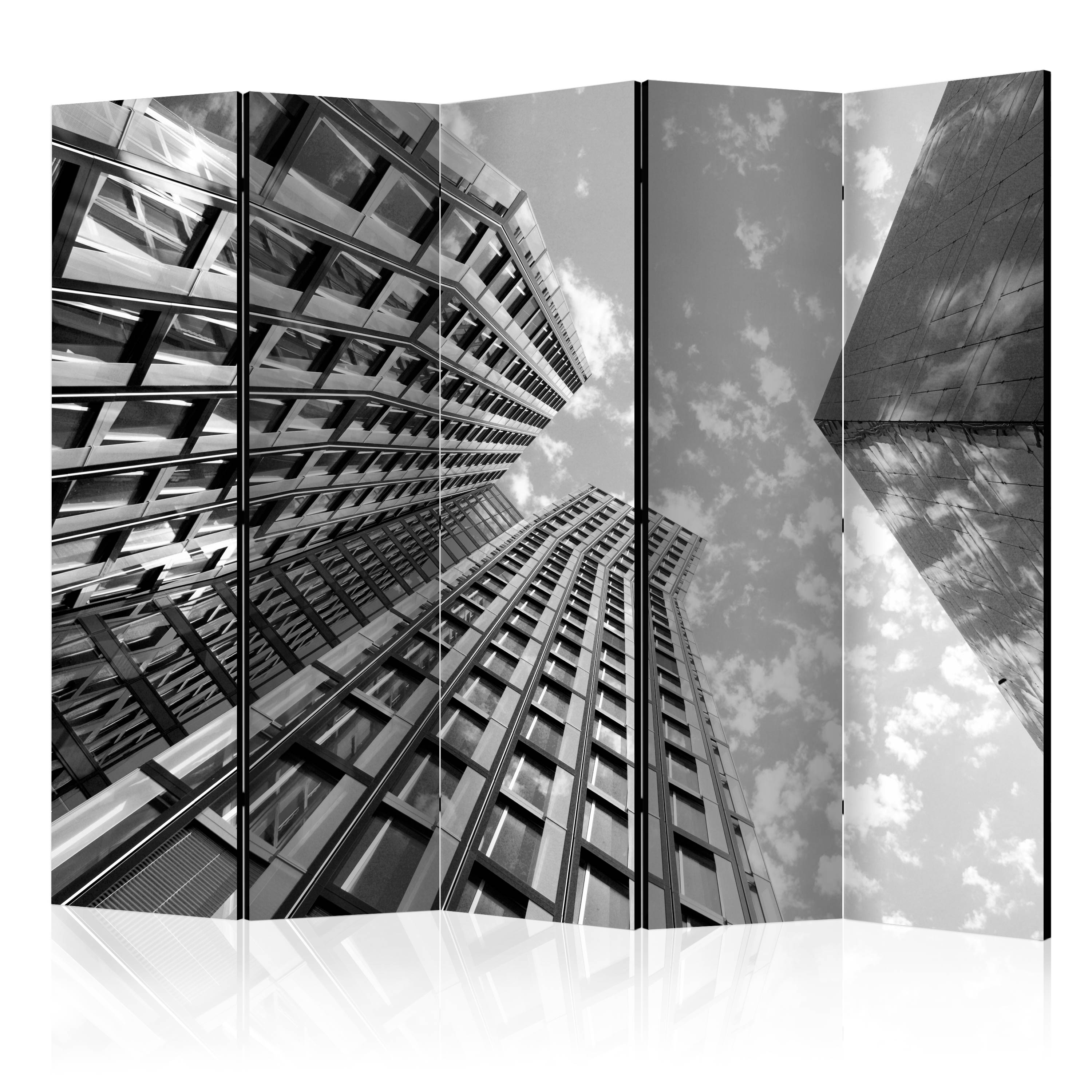 Rumsavdelare Arkiio Reach for the Sky II 225x172 cm