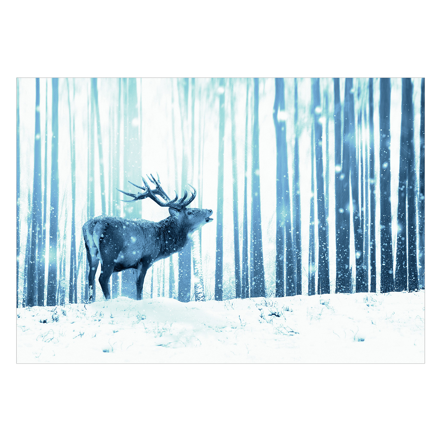 Fototapet Arkiio Deer In The Snow Blå