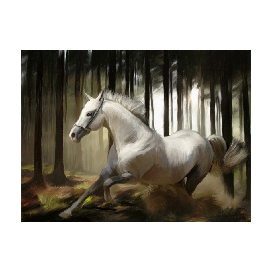 Fototapet Arkiio Vit Chase