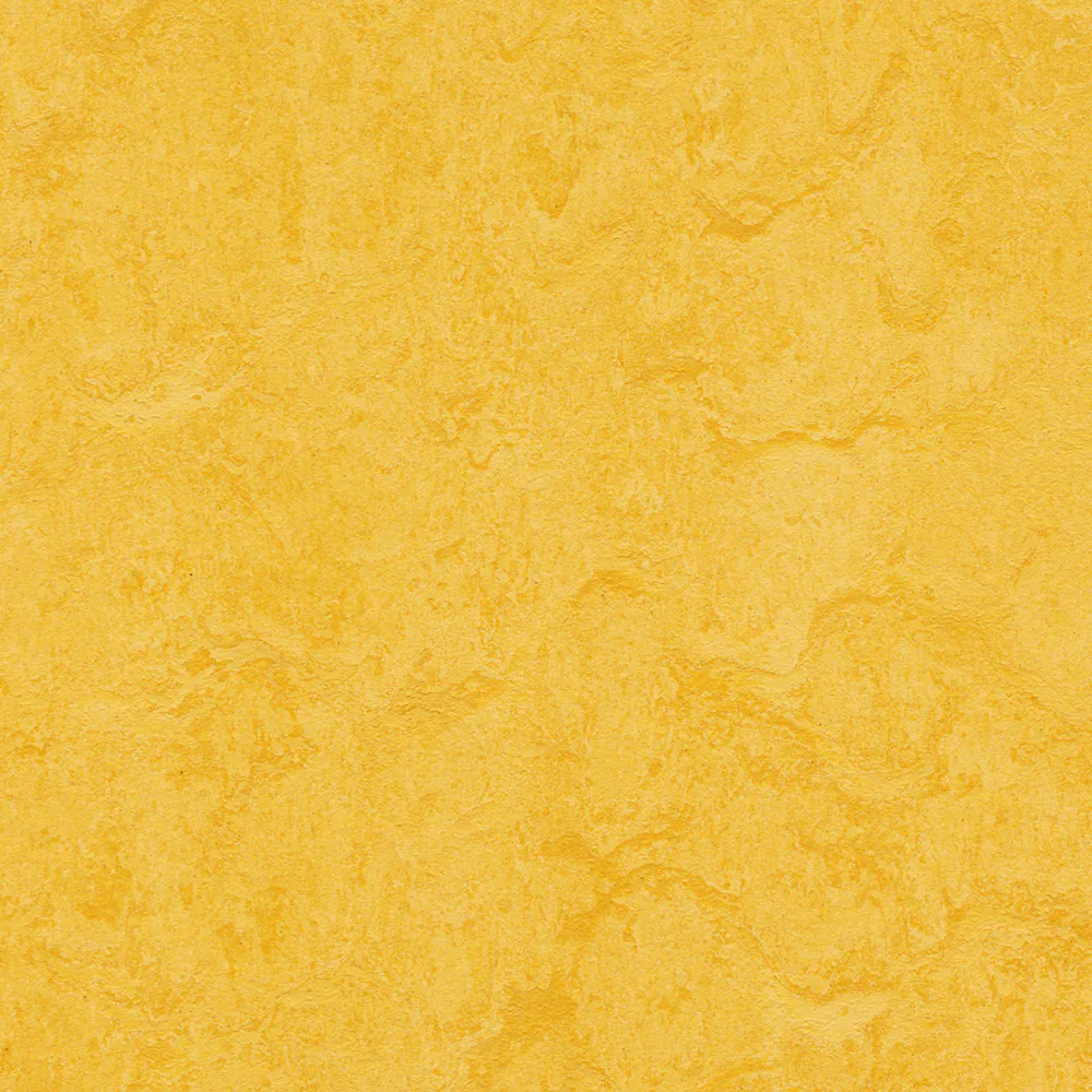 Linoleumgolv Forbo Marmoleum Click Lemon Zest 30x30 cm, Grön med Klickläggning