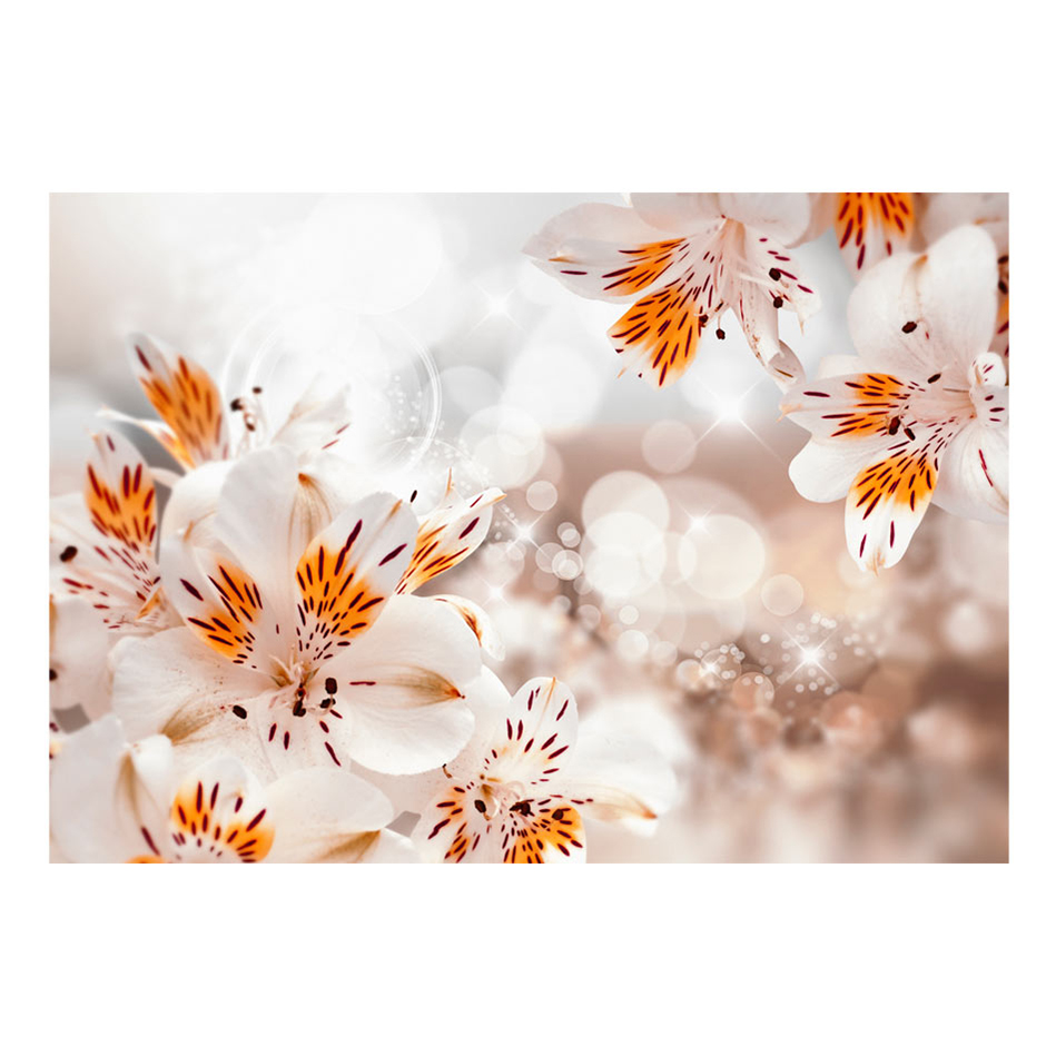 Fototapet Arkiio Lily Of The Incas