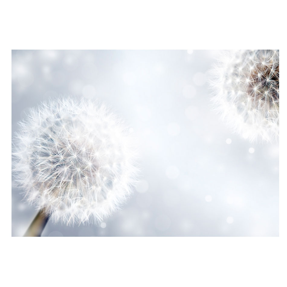 Unpredictable moments 400x280 Storlek: 400x280 cm
