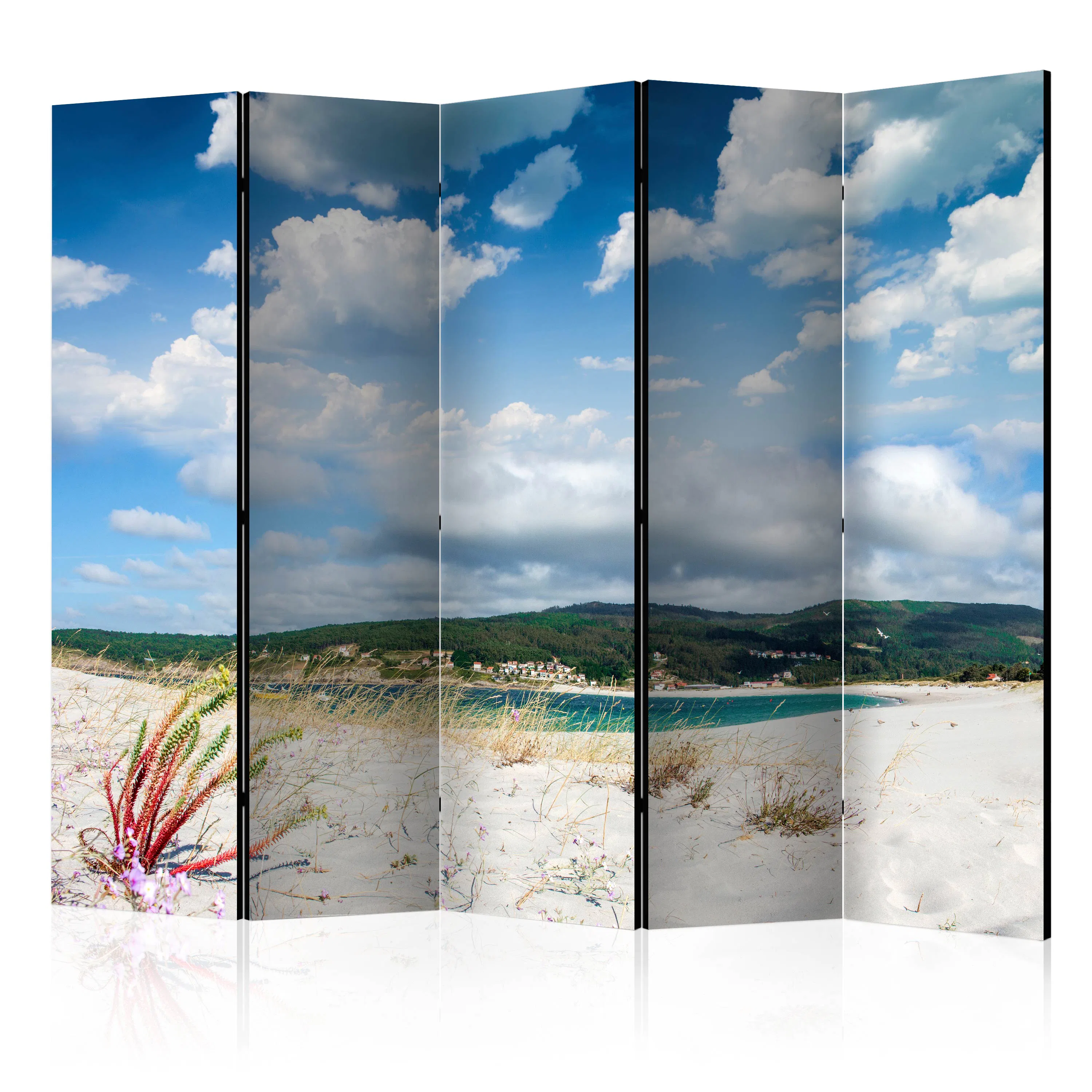 Rumsavdelare Arkiio Beach on the Costa da Morte II 225x172 cm