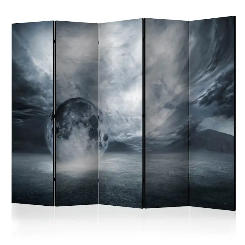 Rumsavdelare Arkiio The Lost Planet II 225x172 cm