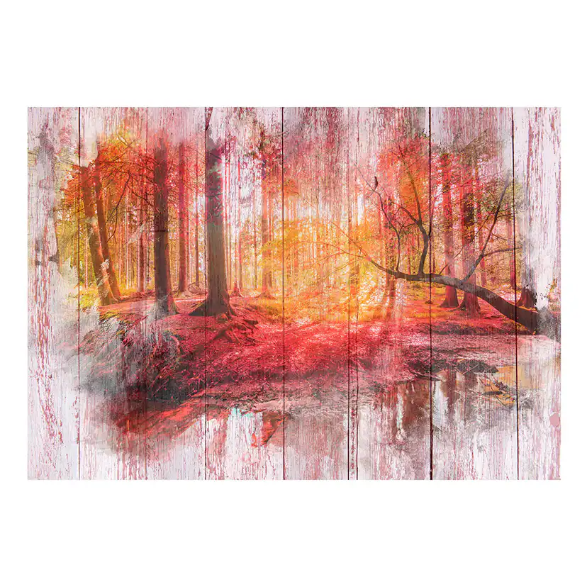 Fototapet Arkiio Autumnal Forest