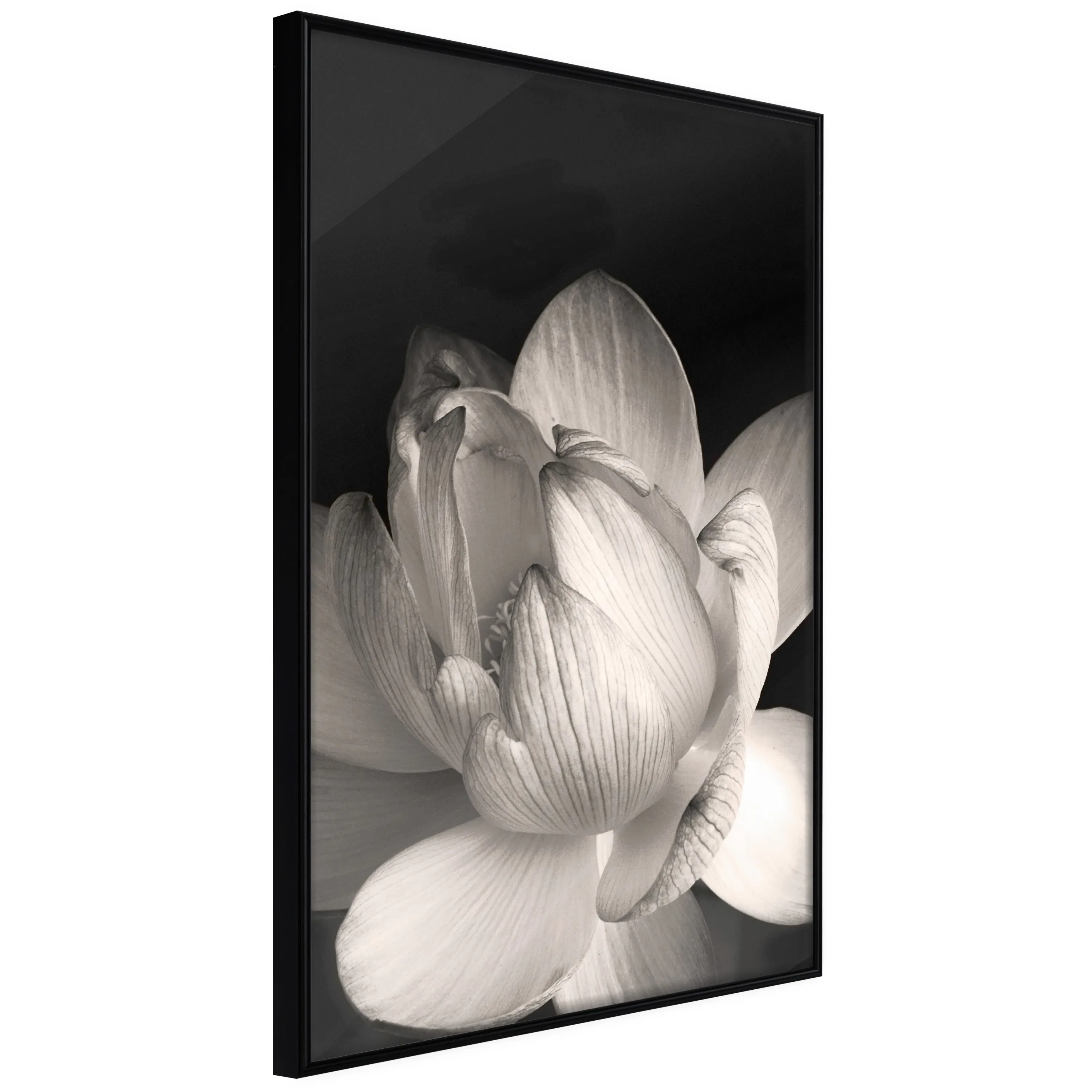 Poster Artgeist Affisch White Subtlety