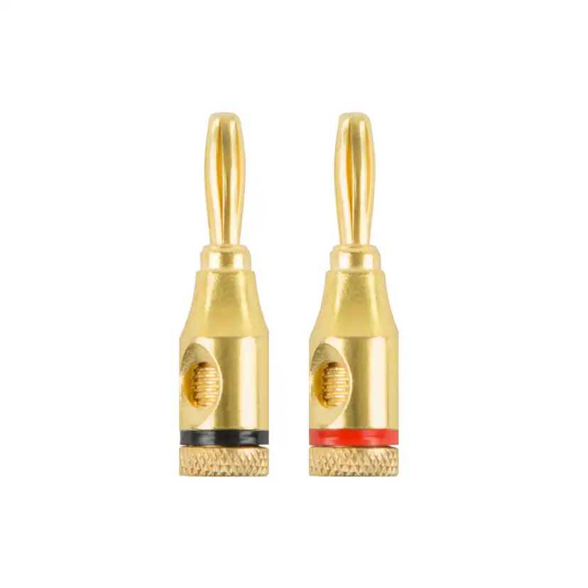 Banankontakt Champion Sva/Röd Hane/Hona