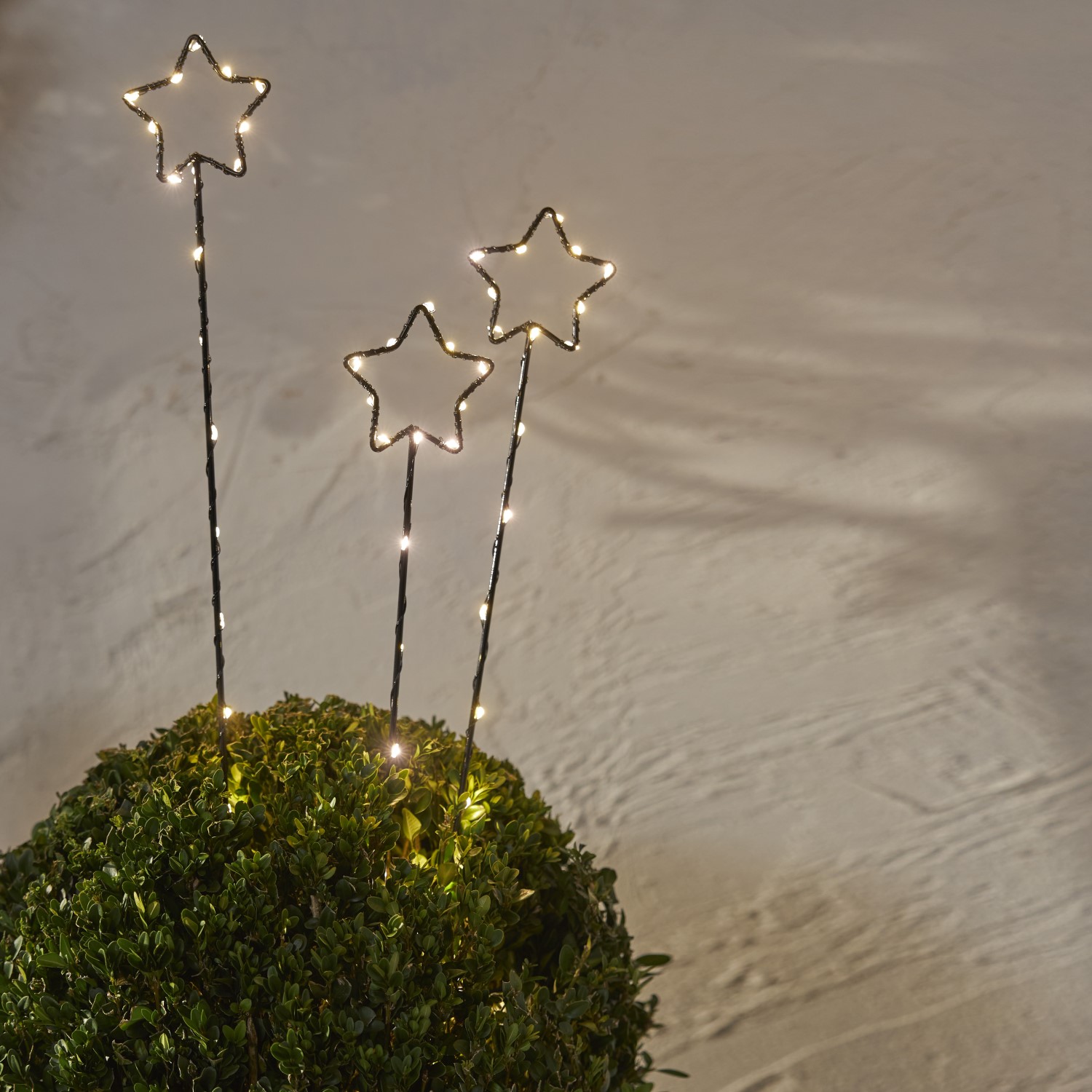 Utomhusdekoration Star Trading Wizard