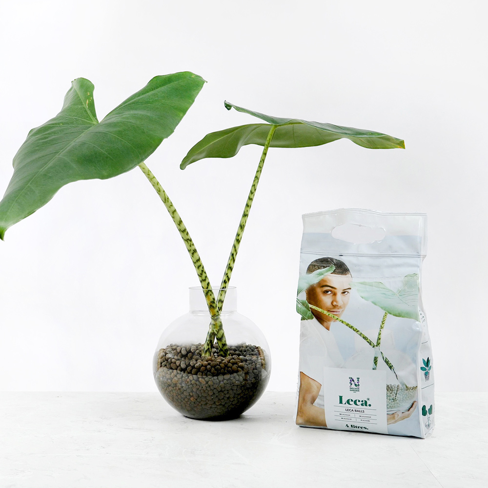 Lecakulor Nelson Garden 4L
