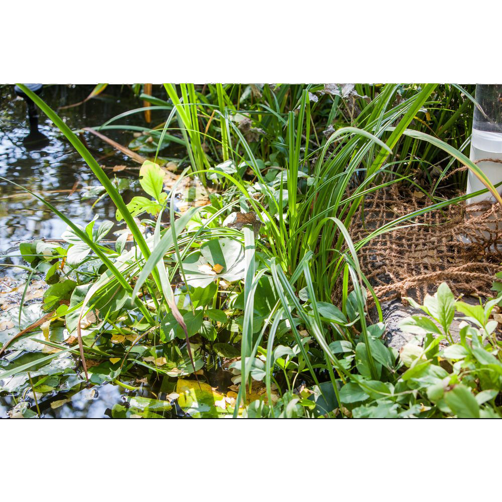 Planteringsmatta för Damm Heissner 50x1 m