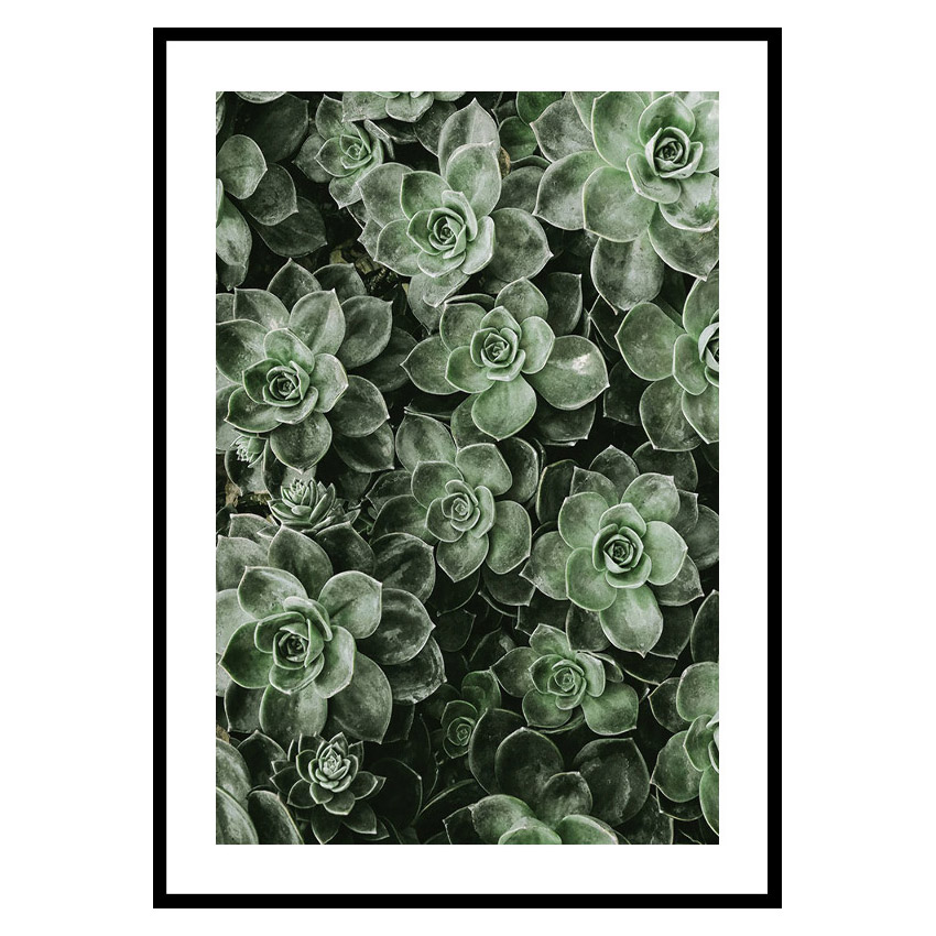 Poster Gallerix Close Up Green