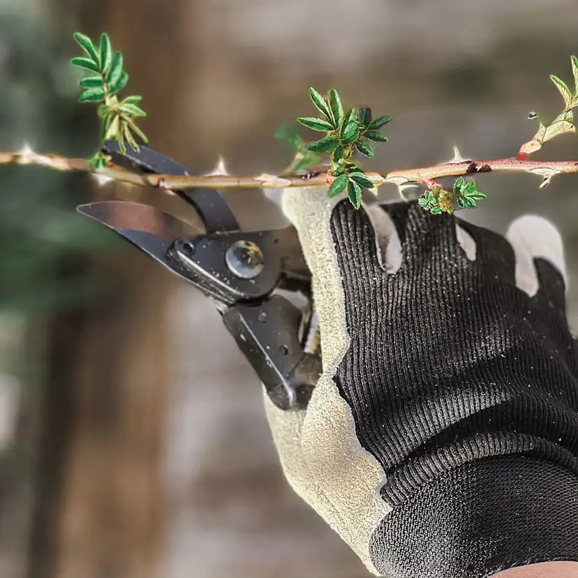 Sekatör by Benson Basic