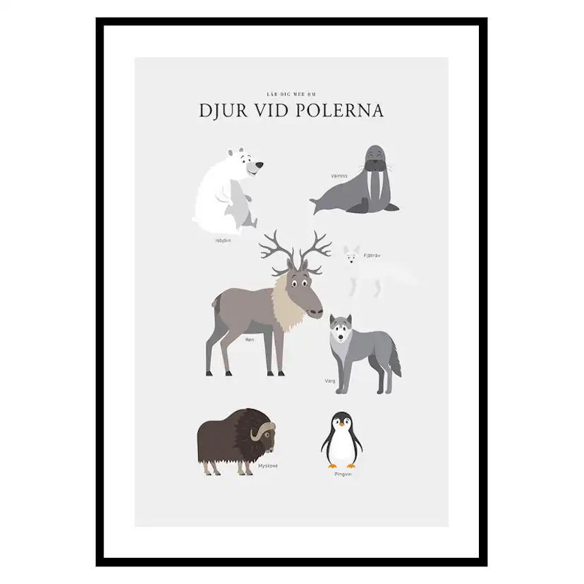 Poster Gallerix Djur Vid Polerna