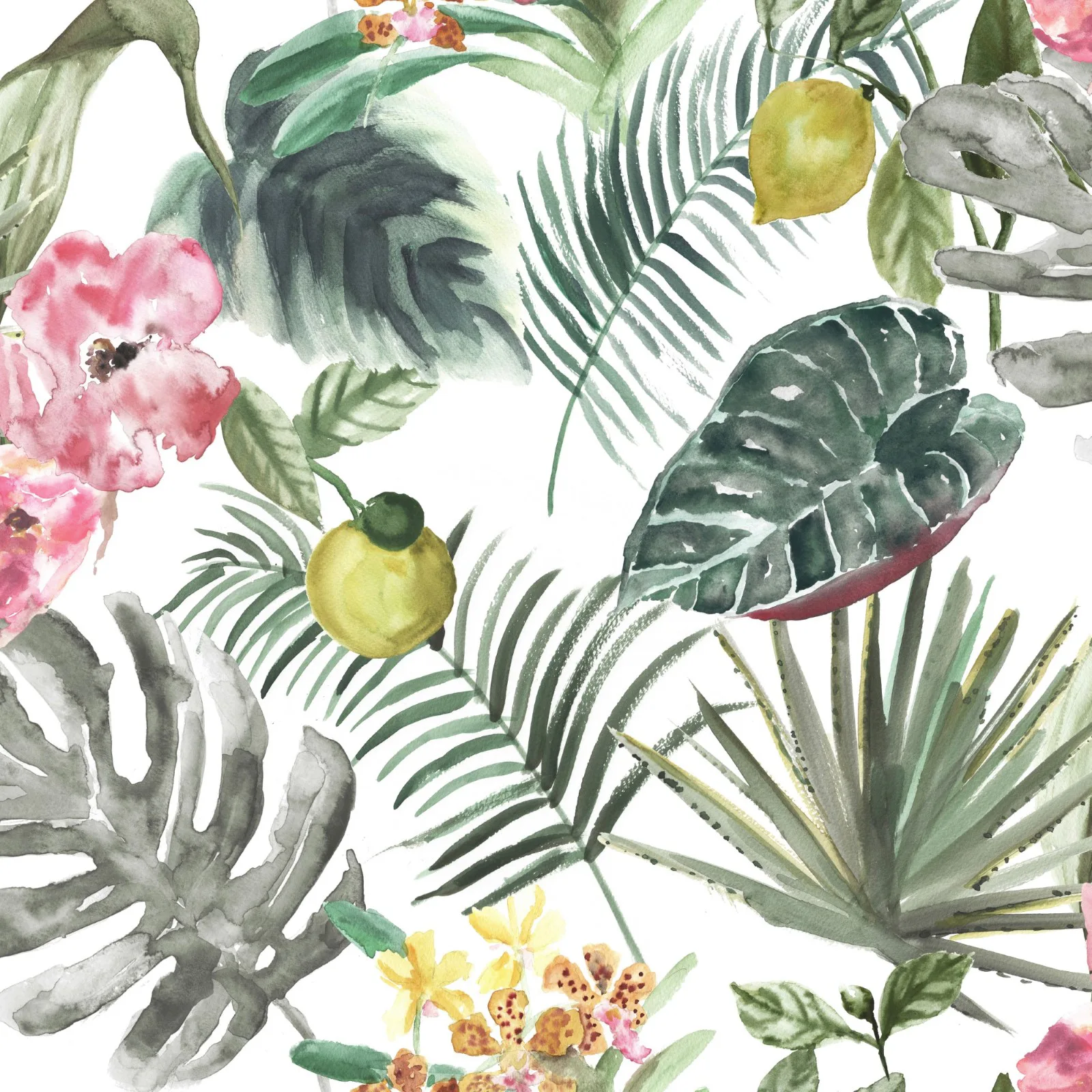 Tapet WOW Tropics