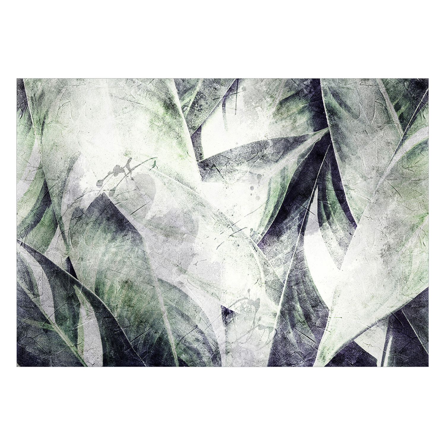Fototapet Arkiio Green Grove