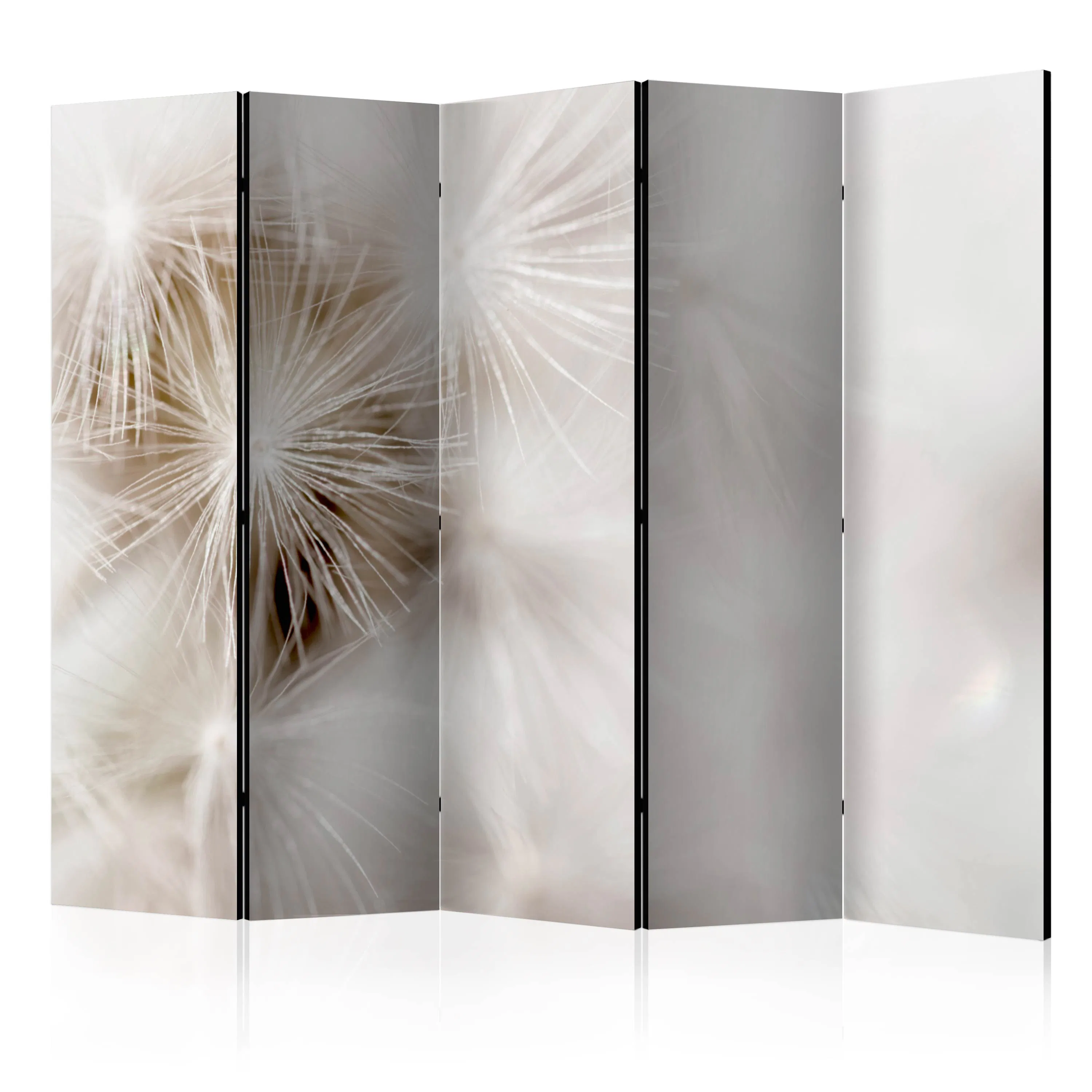 Rumsavdelare Arkiio Subtleness II 225x172 cm