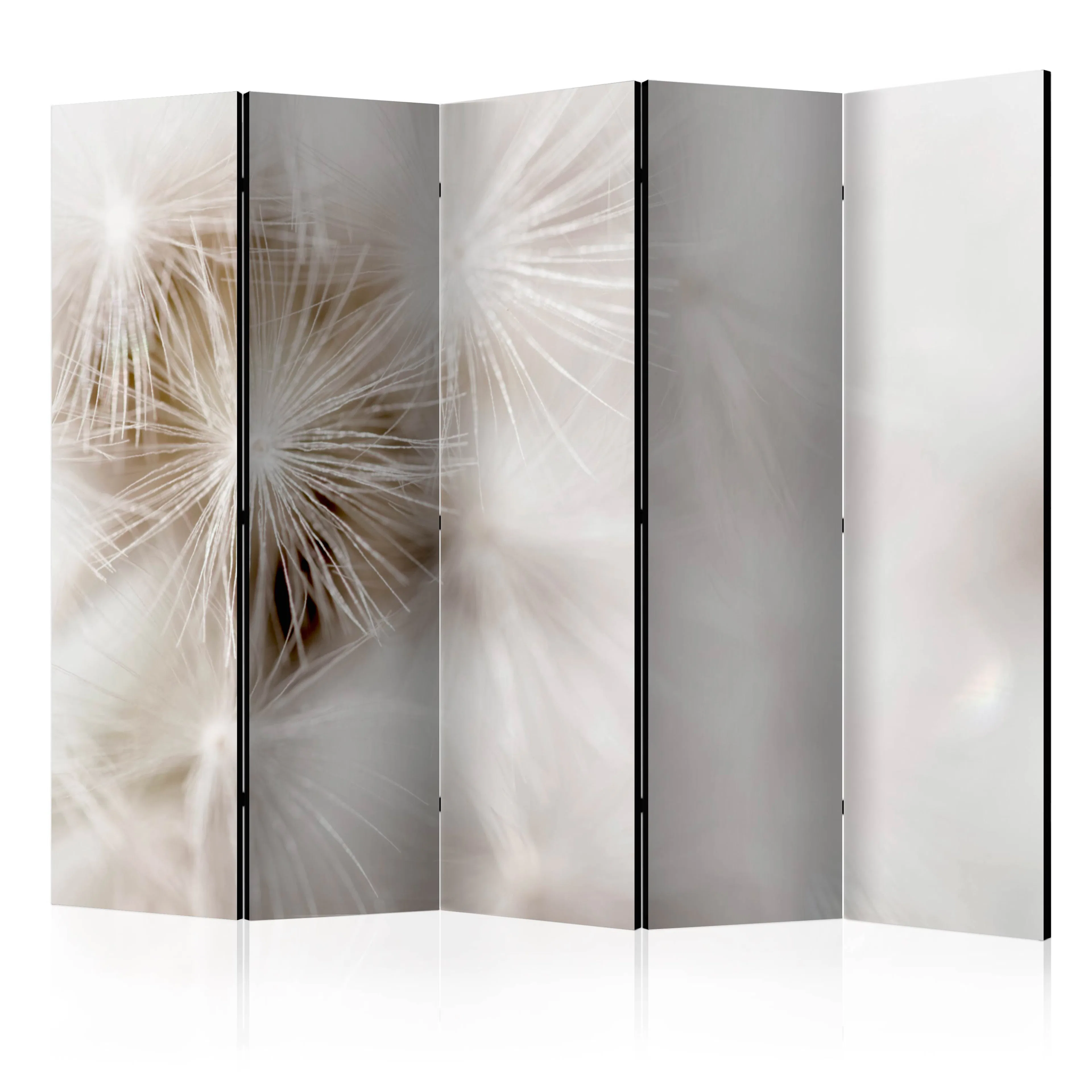 Rumsavdelare Arkiio Subtleness II 225x172 cm