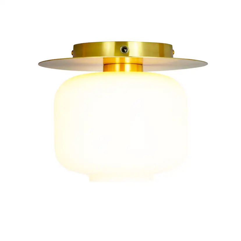 Taklampa Dyberg Larsen Arp