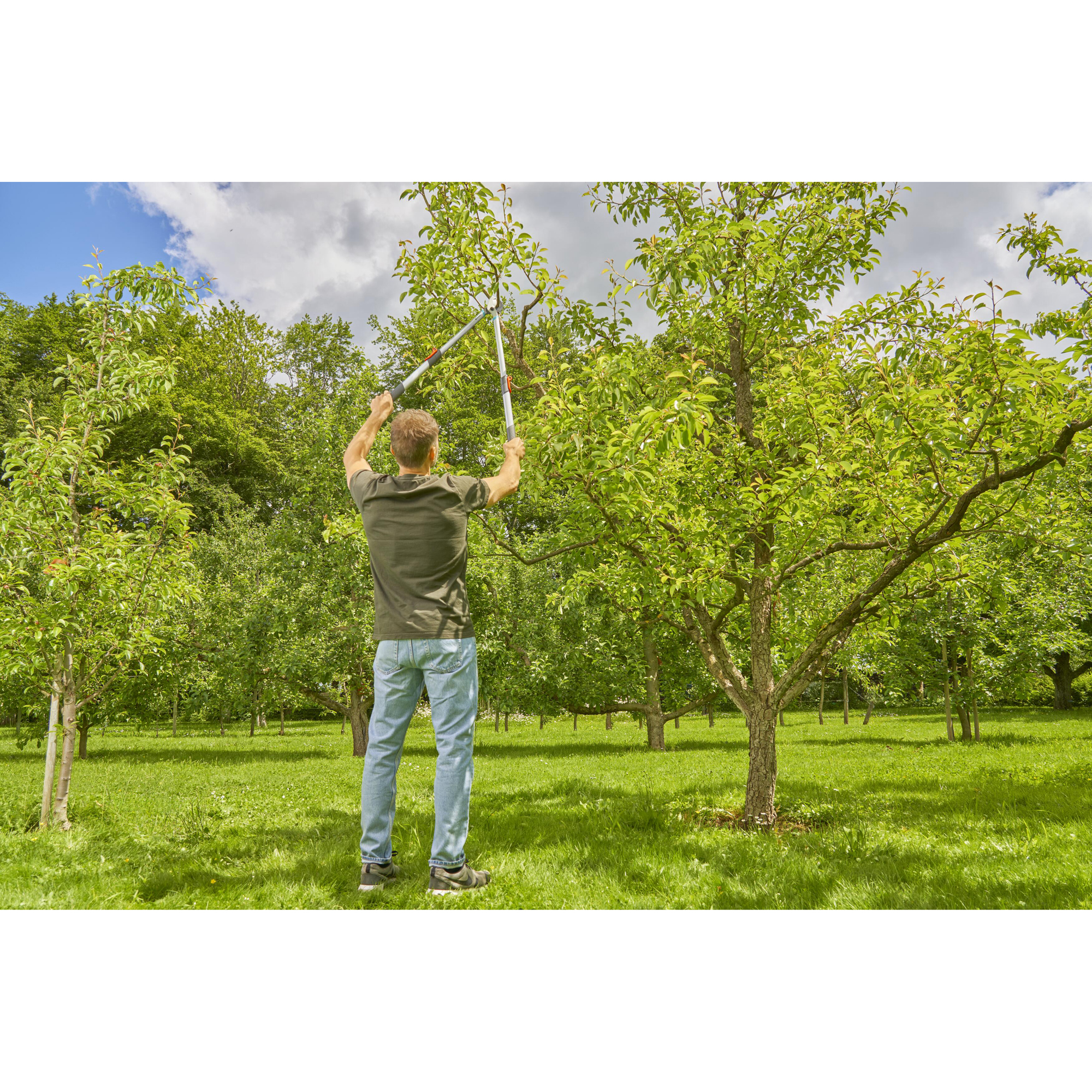 Grensax Gardena TeleCut Basic Teleskopisk