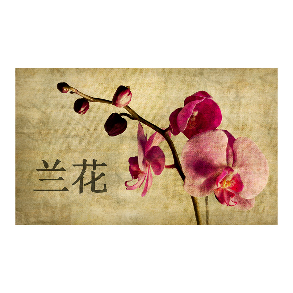 Fototapet Arkiio Japanese orchid 450x270 cm