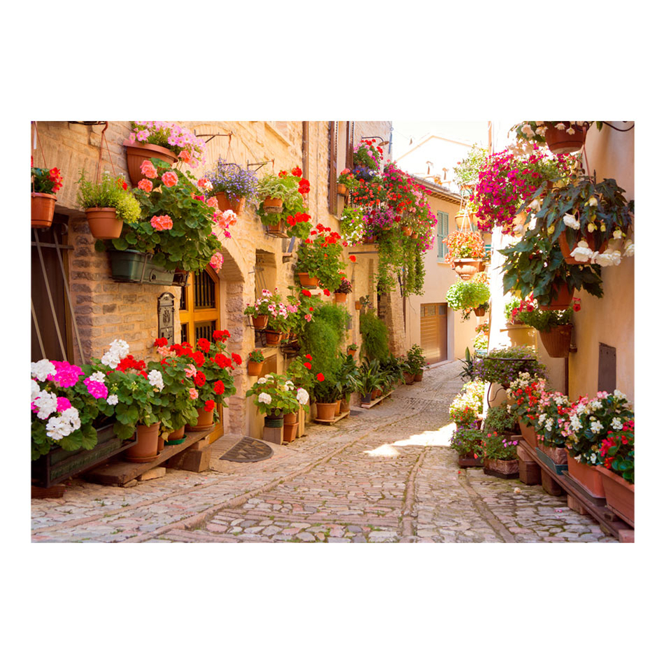 The Alley in Spello (Italy) 300x210 Storlek: 300x210 cm