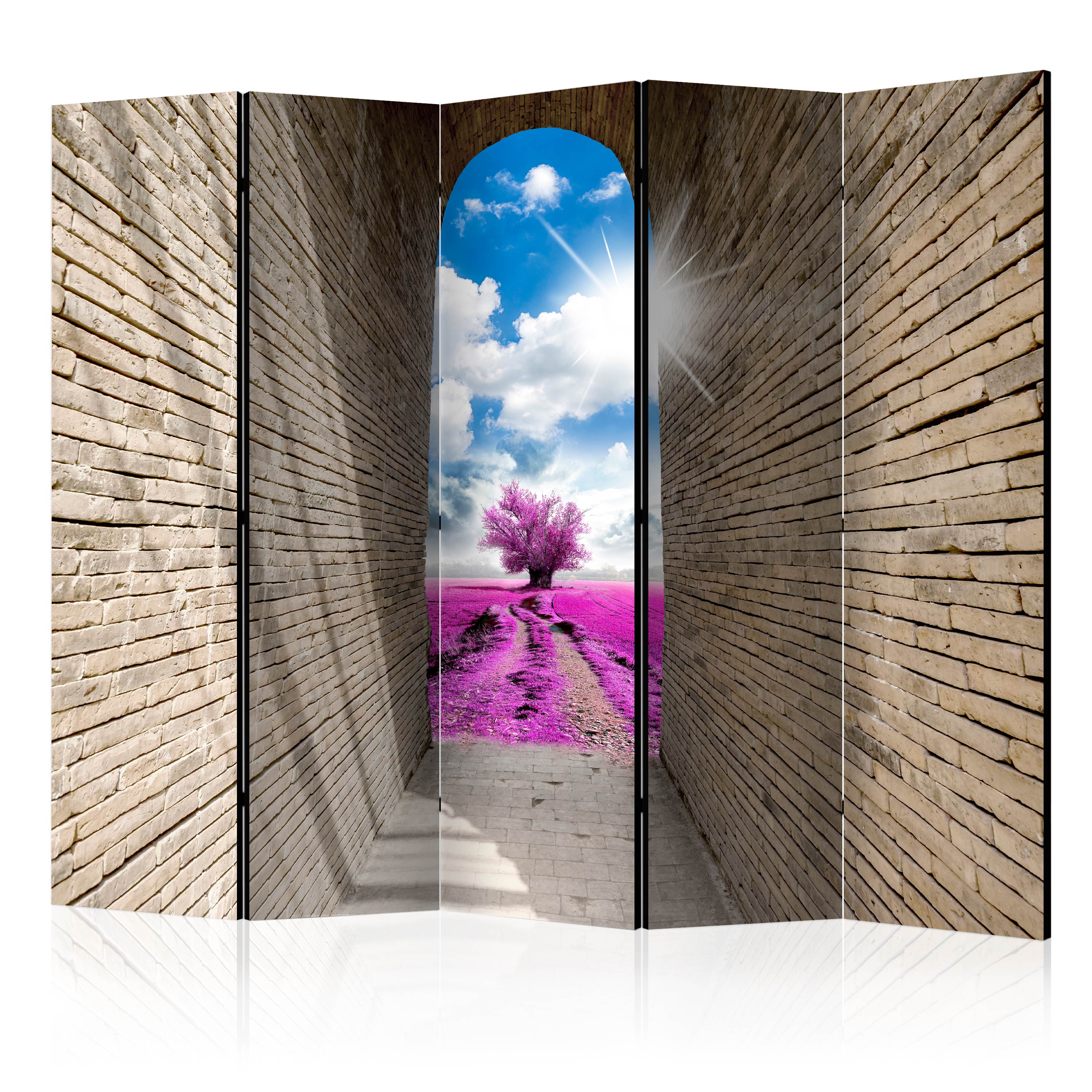 Rumsavdelare Arkiio Magical Passage II 225x172 cm