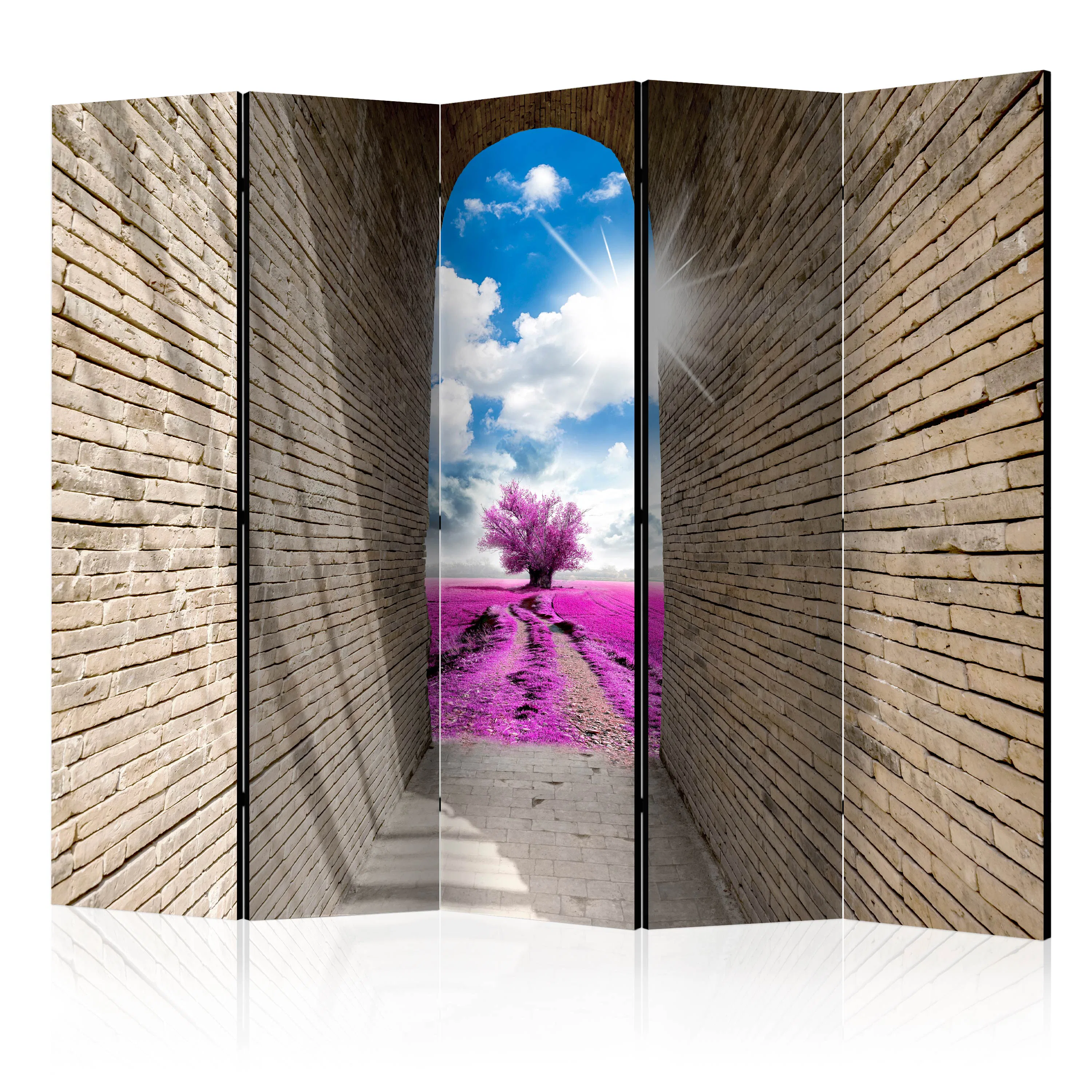 Rumsavdelare Arkiio Magical Passage II 225x172 cm