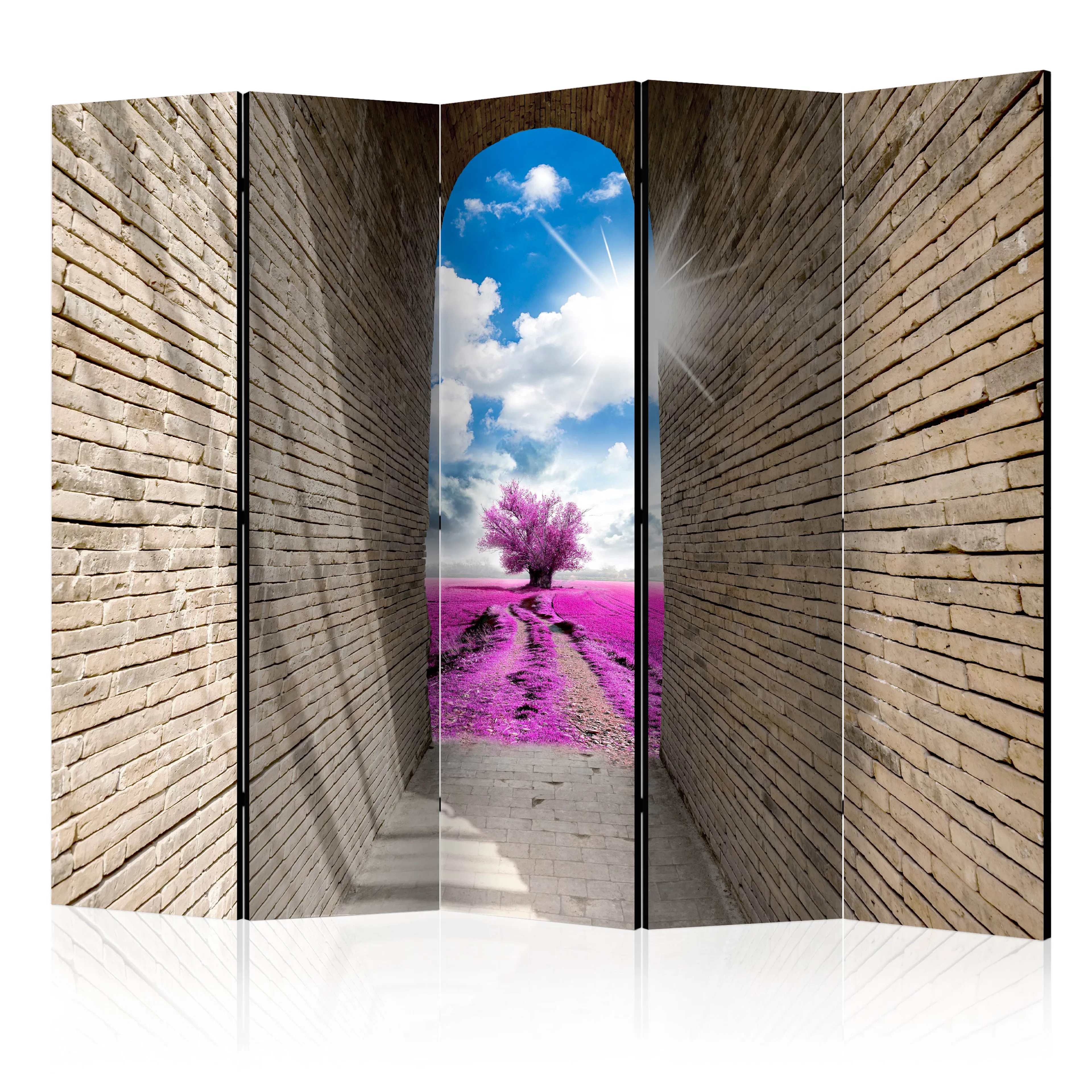 Rumsavdelare Arkiio Magical Passage II 225x172 cm