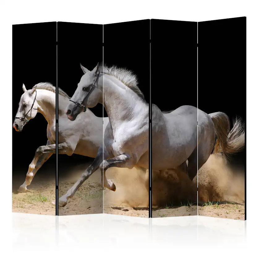 Rumsavdelare Arkiio Galloping Horses On The Sand II 225x172 cm