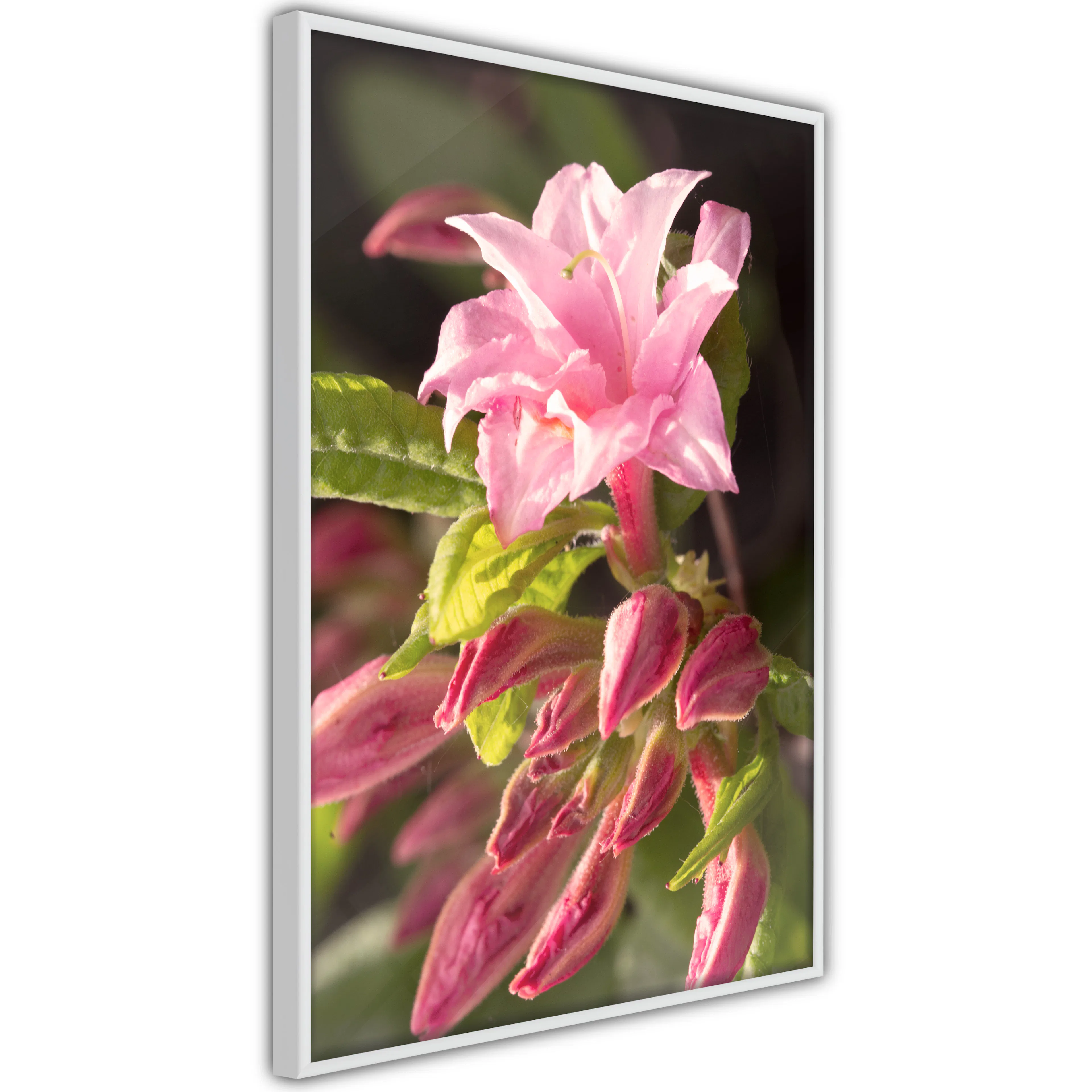 Poster Artgeist Affisch Natural Pink