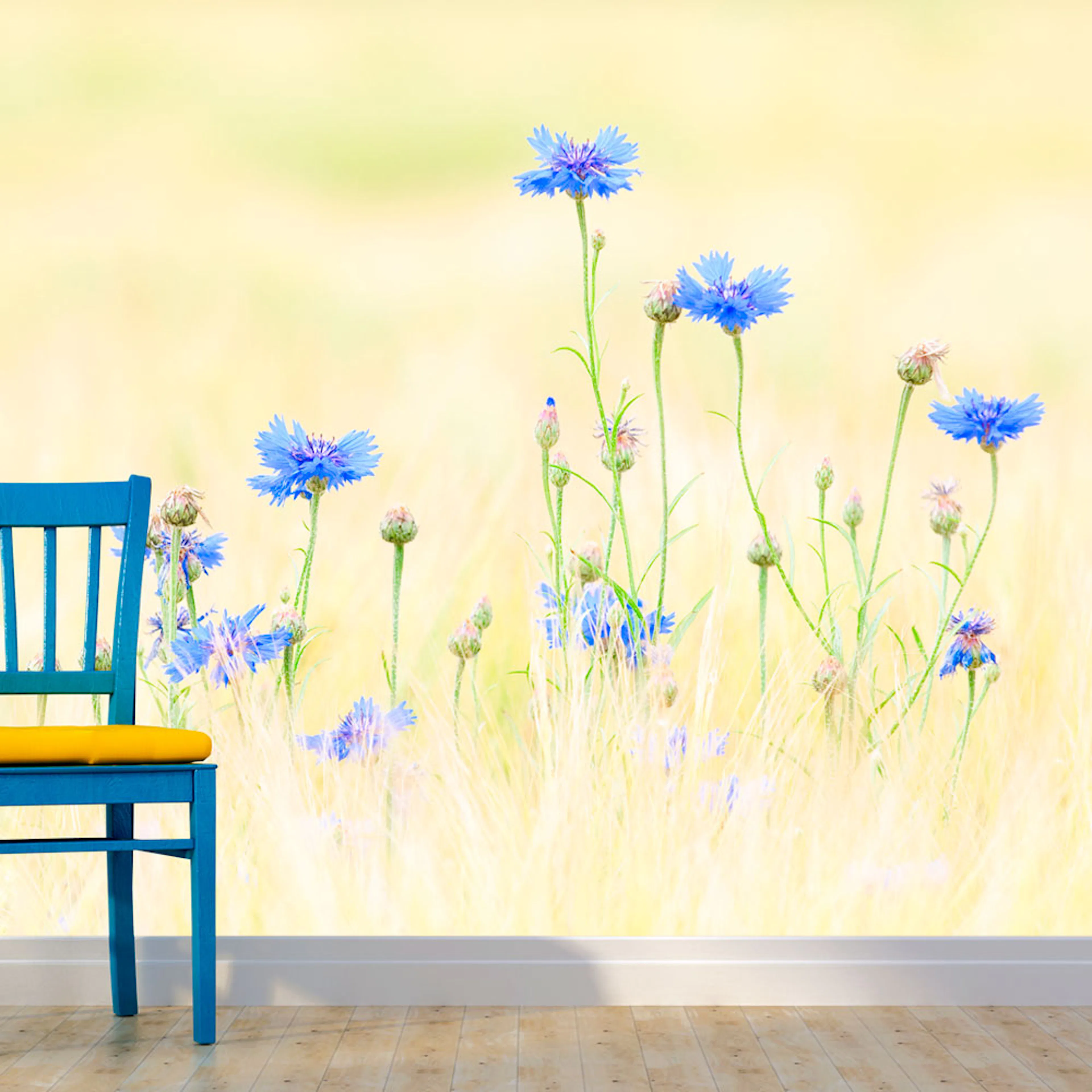 Fototapet Arkiio Cornflowers