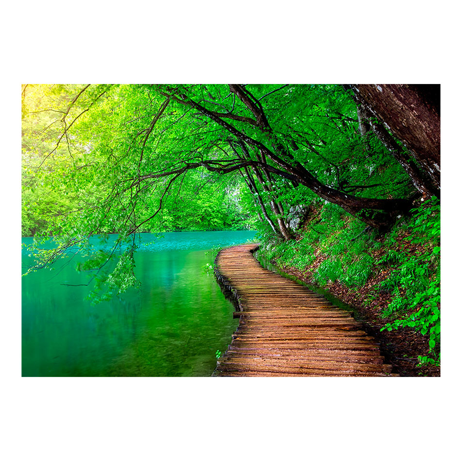 Fototapet Arkiio Green Peace