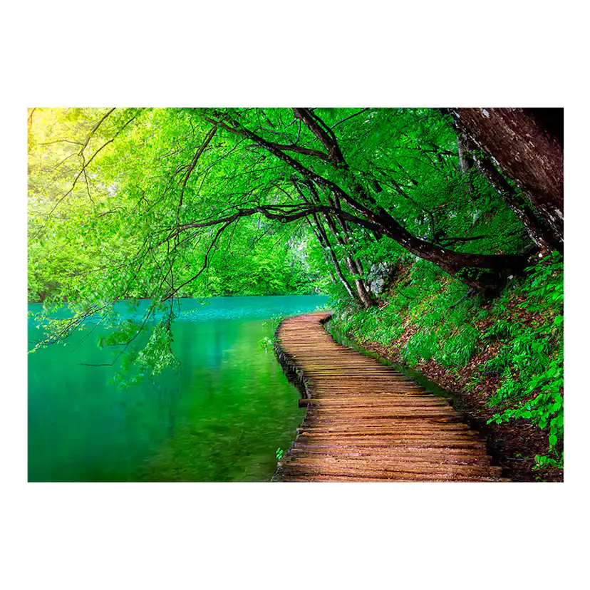 Fototapet Arkiio Green Peace