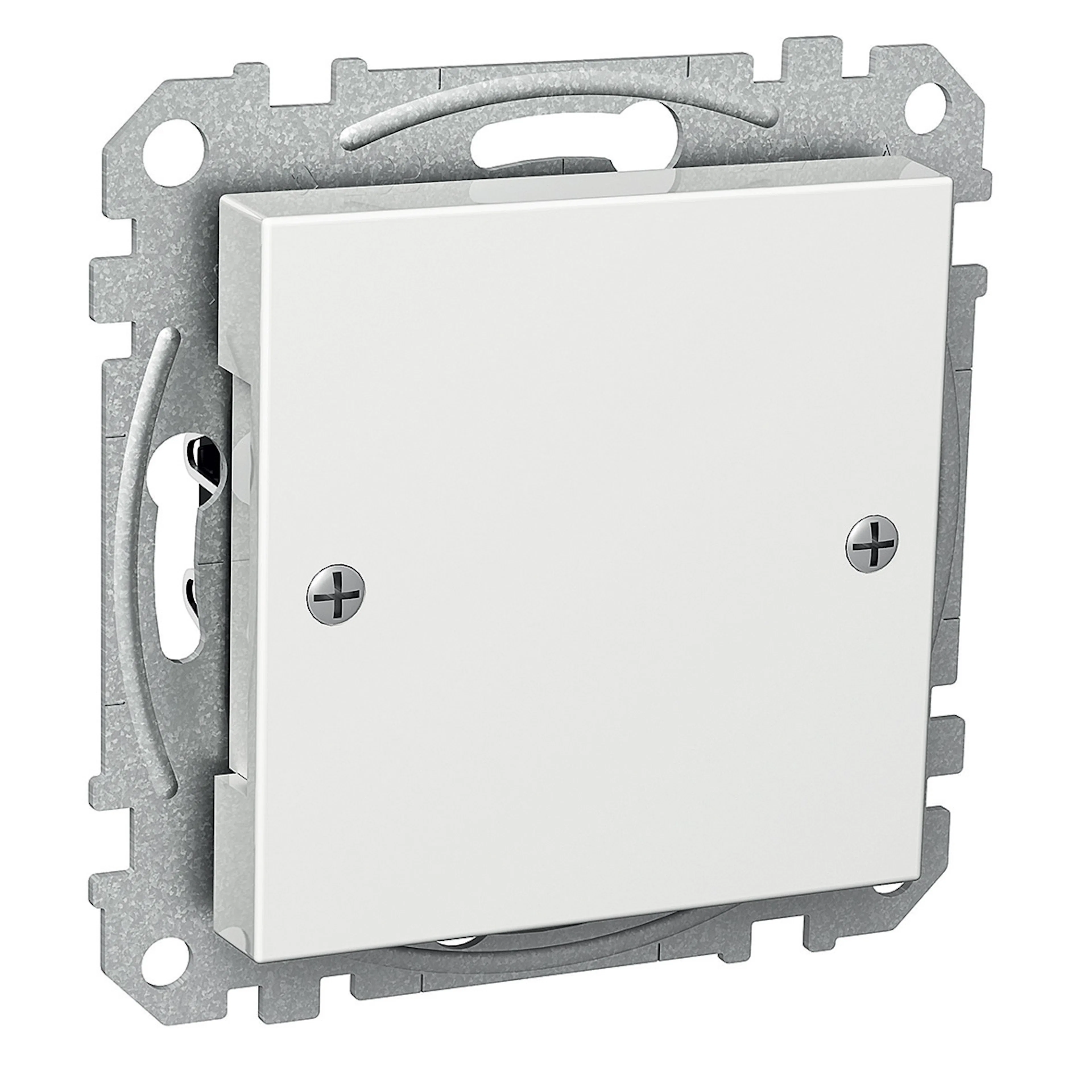 Centrumplatta Schneider Electric Exxact