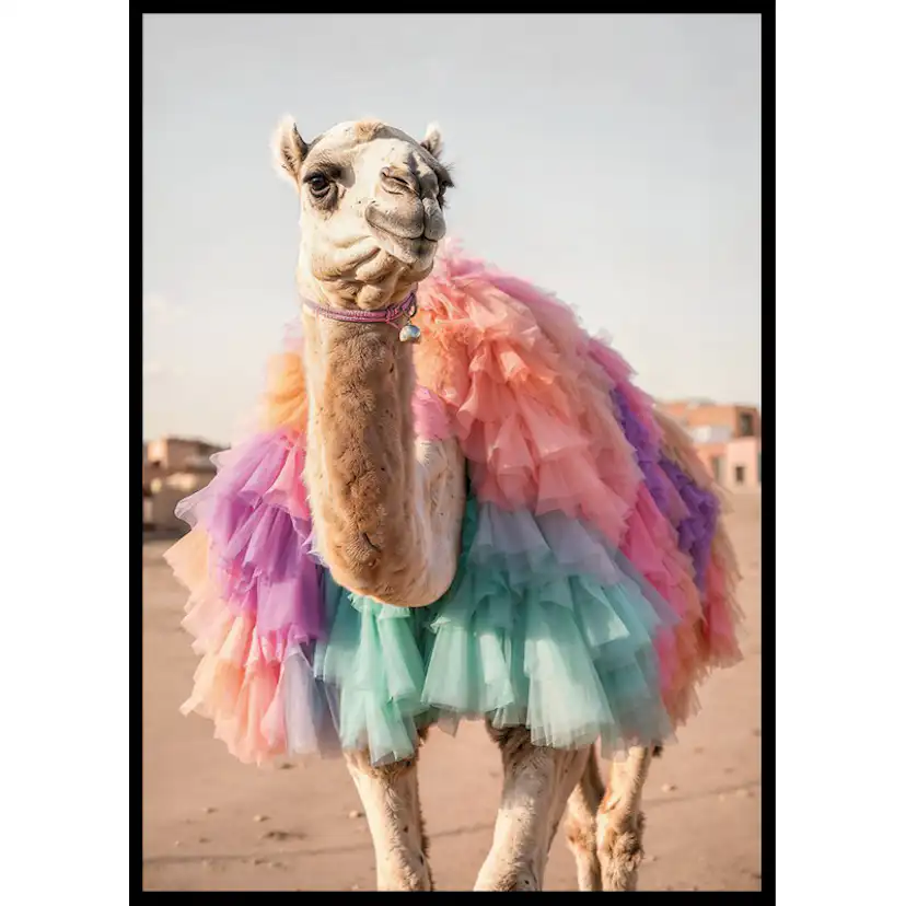 Poster Gallerix Camel In Colors
