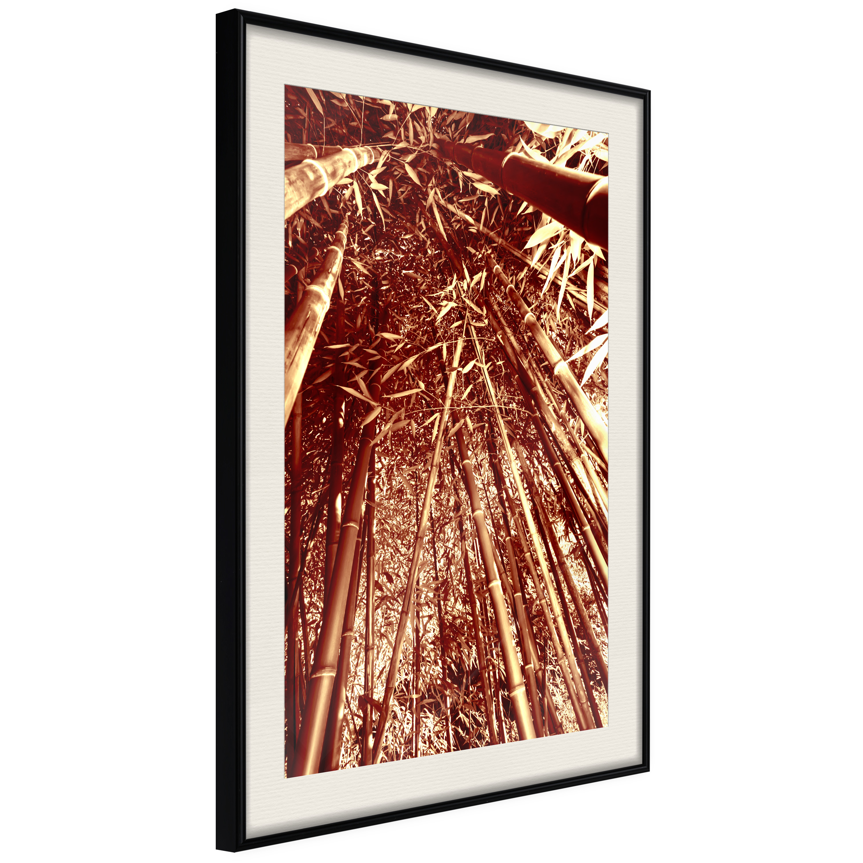 Poster Artgeist Affisch Tall Bamboos