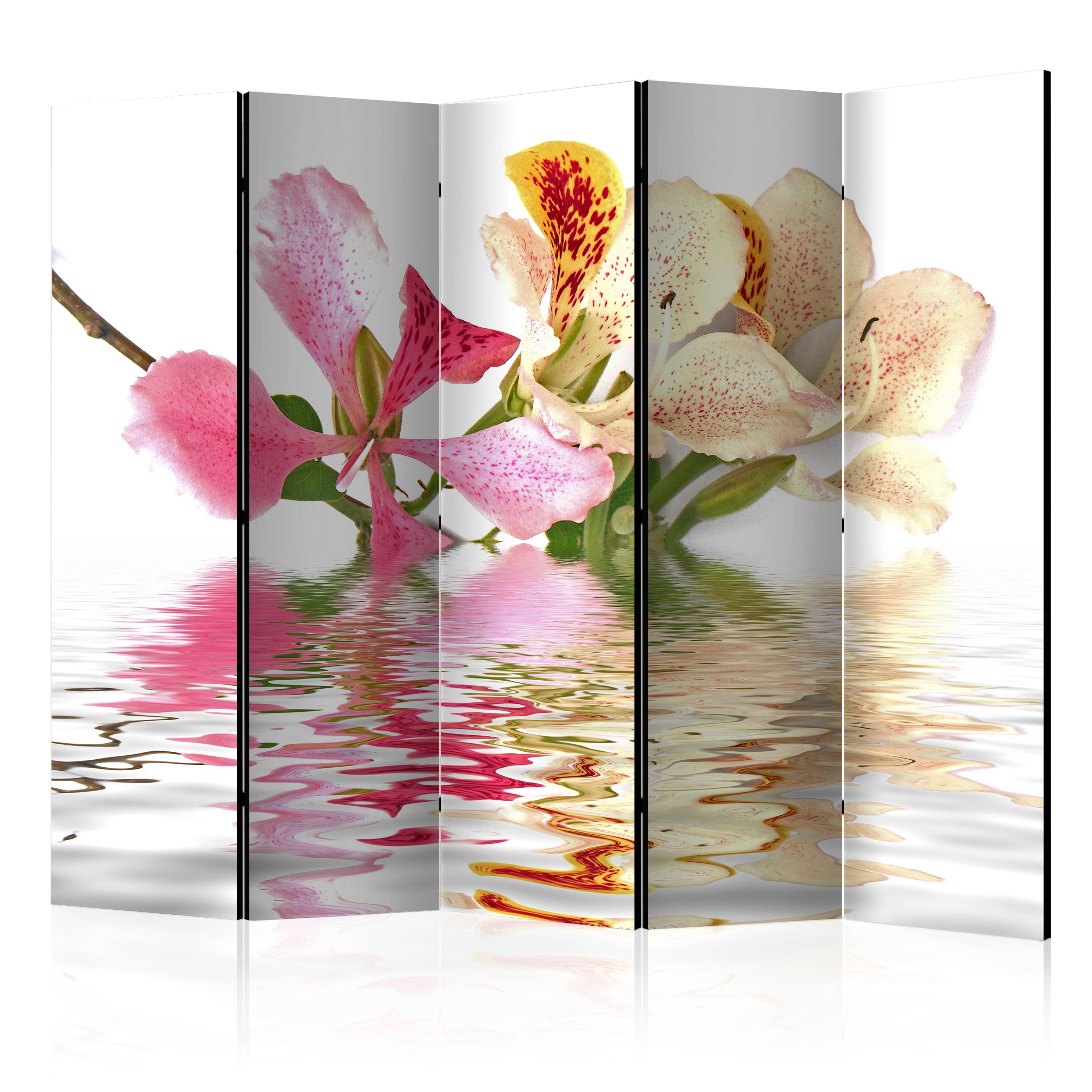 Rumsavdelare Arkiio Tropical Flowers Orchid Tree Bauhinia II 225x172 cm