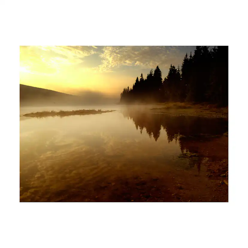 Fototapet Arkiio Skog Och Sjö