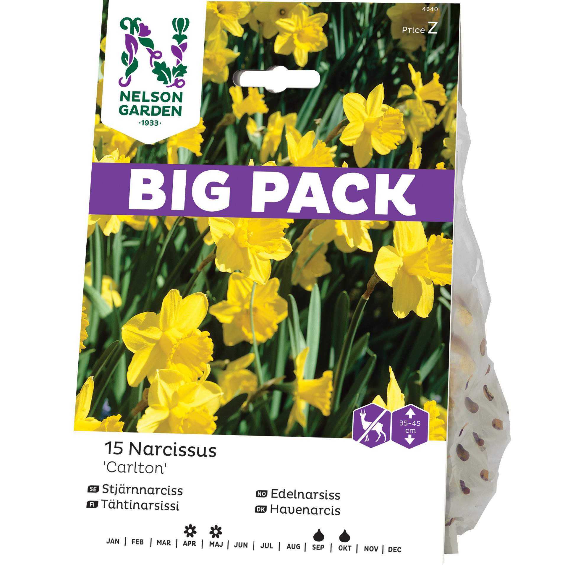 Stjärnnarciss Nelson Garden Storkronig Carlton Big Pack