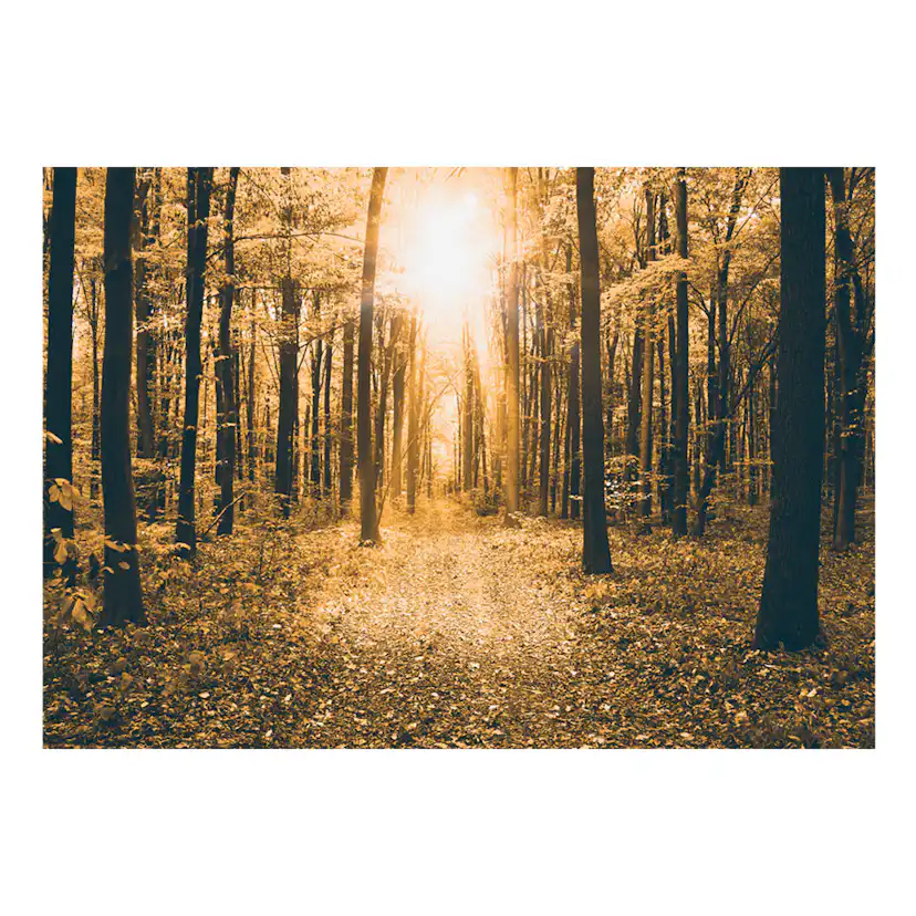 Fototapet Arkiio Magical Light