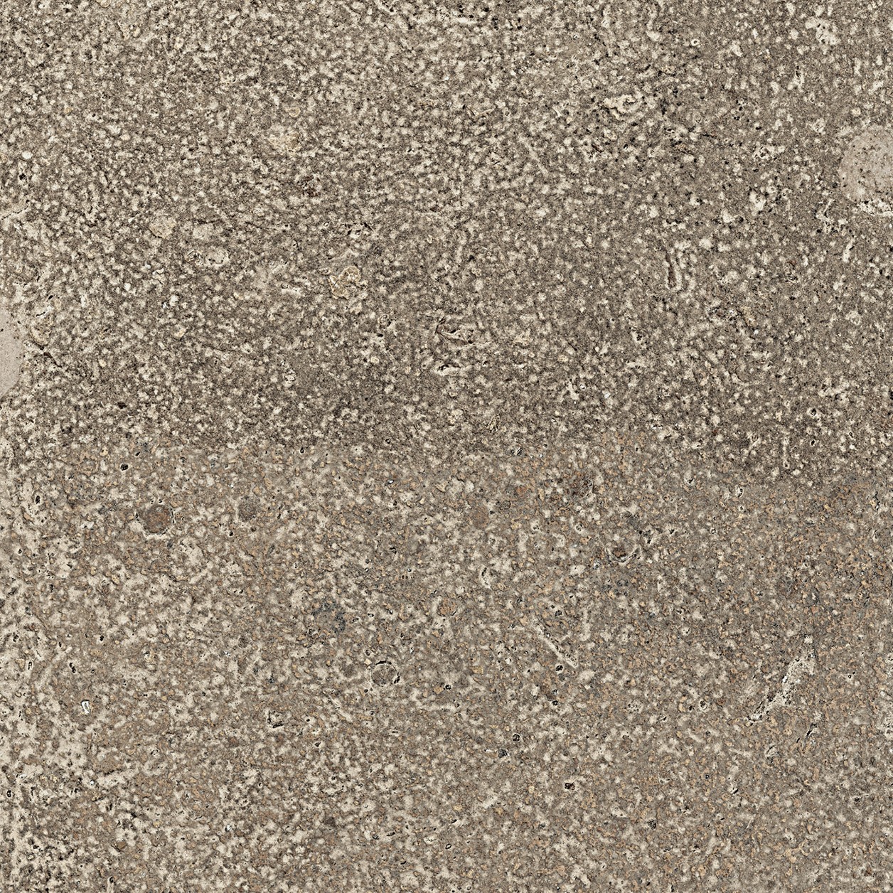 Klinker Lhådös Roma Mineral 20x40