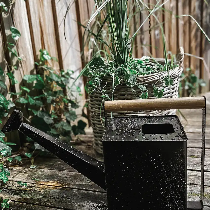 Vattenkanna by Benson