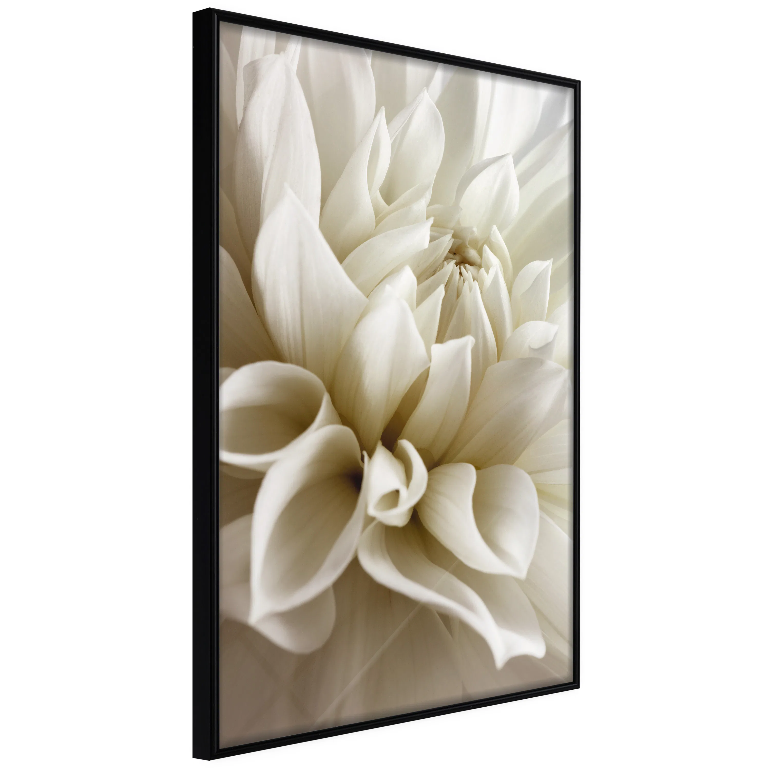 Poster Artgeist Affisch Beautiful Dahlia