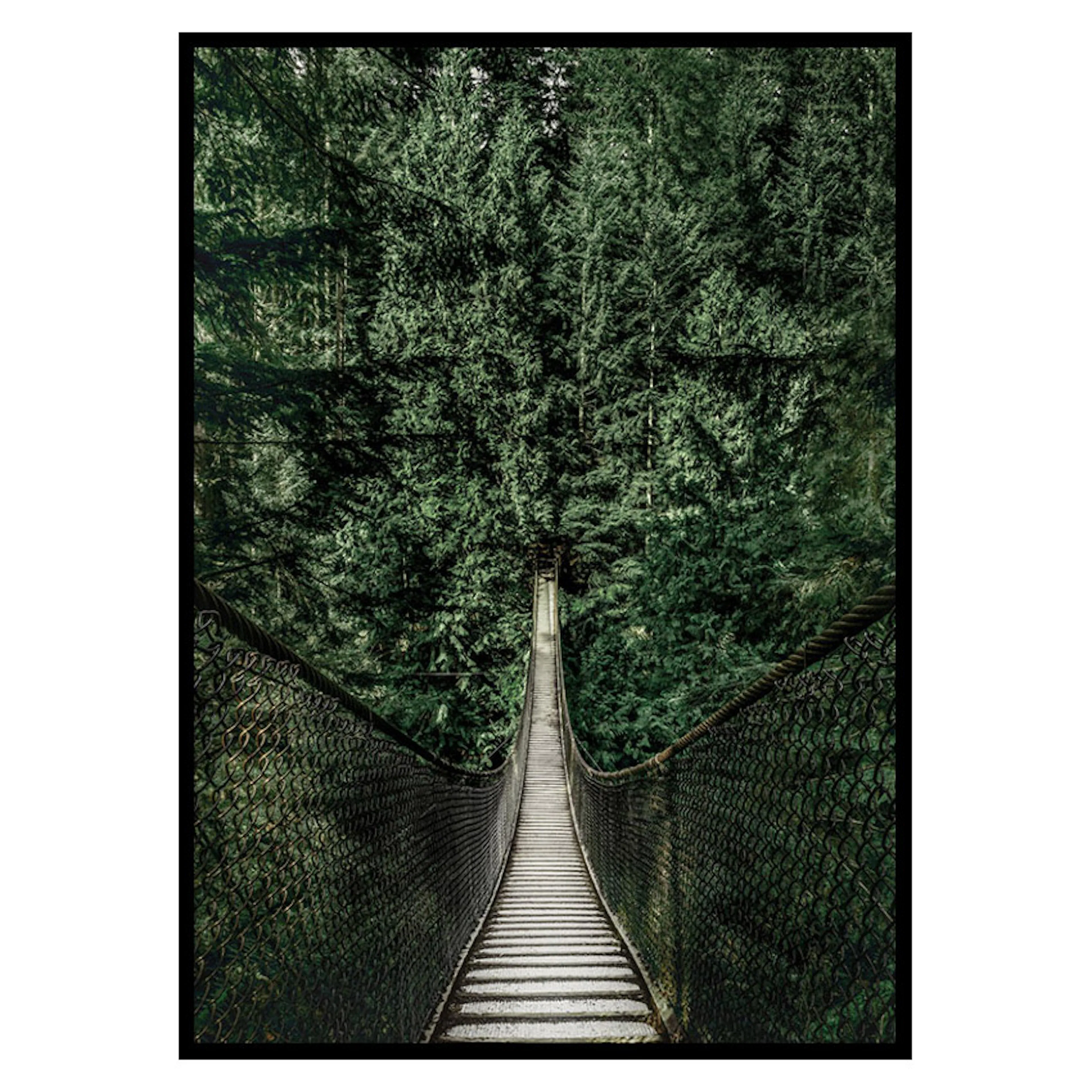 Poster Gallerix Escape Into The Forest